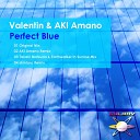 Valentin AKI Amano - Perfect Blue AKI Amano Remix