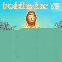 Buddha Bar CD Series - Ustad Sultan Khan Aja Maji Sacred Rythm Version By Joe…