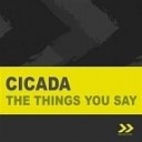 Cicada - The Things You Say Fisso amp Spark Remix