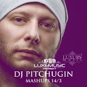 Leonid Rudenko ft Kvinta Nicco vs Alexx Slam Mickey… - Destination DJ Pitchugin Mashup