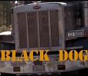 Черный Пес Black Dog 1998 - Highway Junki