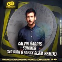 Calvin Harris - Summer Leo Burn Alexx Slam Remix