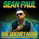 Sean Paul - She Doesn t Mind Firebeatz Remix