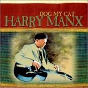 Harry Manx - Baby Please Don t Go