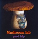 Mushroom Lab - Night Vibe outbeat