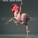 DJ Snake vs Junior Senior - Move Your Feet Parisian Vision