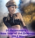 DJ Salamandra - New Year Of The Dragoon 2012 Mix Track 4
