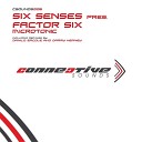 Six Senses pres Factor Six - Microtonic Danilo Ercole Remix
