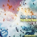 Акула - Стаи Птиц Paul dub Sky remix