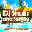D1N ShaM feat DJ RoyOne DJ Progressive - Плачет Душа DJ Shulis Remix