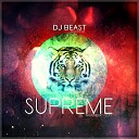 Dj Beast aka Pavel - SUPREME Original mix