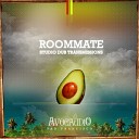 Roommate - Studio Skank