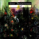 Stay Frightened - The Rain And Bruisers