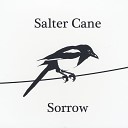 Salter Cane - Something Broken