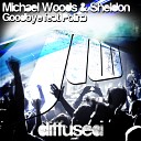 Michael Woods Shelfon ft Polina - Goodbye Original mix