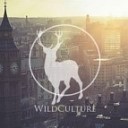 London Grammar - Hey Now Wild Culture s More Sub Remix