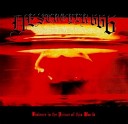 Destrцyer 666 - Burning The Veil Of Falsehood