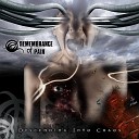 Remembrance of Pain - Red Spiral Dream