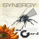 DJ GARD presents SYNERGY - Take You Too Slippy Born Again dub