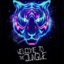 Alvaro Mercer Dario Nunez Feat Lil Jon - Welcome To The Jungle Proni Sync Mash Up 2 0