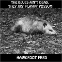 Hawgfoot Fred - White Boy Lost In The Blues