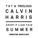Calvin Harris vs TST Twoloud - Drop It Like This Summer Mwotek Bootleg
