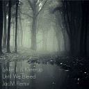 Lykke Li Kleerup - Until We Bleed JacM Remix
