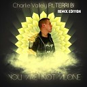 Charlie Vallely Feat Terri B - You Are Not Alone Cantoreggi Remix