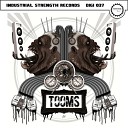 Tooms - Disgraceland Lowroller Remix