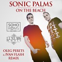 Sonic Palms - On The Bitch DJ Oleg Perets