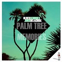 Joris Delacroix Oliver Schori - Palm Tree Memories n to Remix