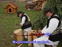 Народные Молдавские… - Canta cucu bata l vina x minus org
