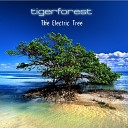 Tigerforest - Moment of Grace