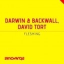 Darwin Backwall David Tort - Fleshing