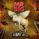 Mr Big - I Won t Get In My Way