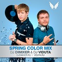 DJ DimixeR DJ Viduta - Spring Color Mix 11