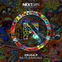 Pruga P - NightLight Original Mix AGRMusic