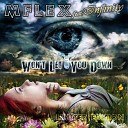 Mflex feat Infinity - Won t Let You Down Limited Edition 2013