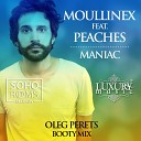 Moulinex feat Peaches - Maniac