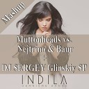 Indila Muttonheads vs Nejtrino Baur - Derniere Danse DJ SERGEY Glinskiy SP Mashup