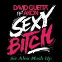 Sean Finn and Akon - Sexy Bitch Storm Josh O Malley Remix Sir Alex Mash…