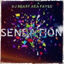 Dj Beast aka Pavel - SENSATION original mix