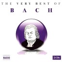 Bach - Concerto for Violin and Oboe in C minor BWV 1060 II…