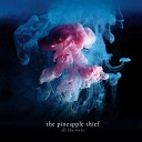 The Pineapple Thief - Burning Pieces