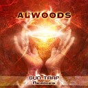ALWOODS - Erot remix