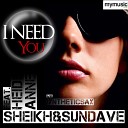 Sheikh Sundave feat Heidi Anne - vs Syntheticsax