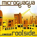 Microguagua - Le Piccole Cose