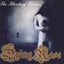 Dying Rose - Fallen