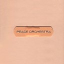Peace Orchestra - Double Drums