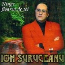 Ion Suruceanu - Domnisoara